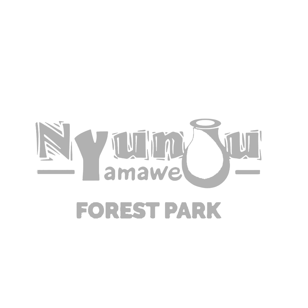 nyungu_ya_mawe_logo_transparent